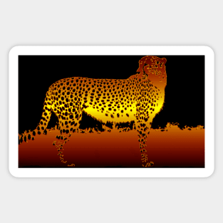 Cheetah hunting on the African savannah Sticker